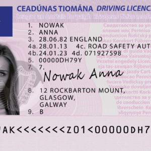 Buy an Irish Driver's License Fast and Secure Online
